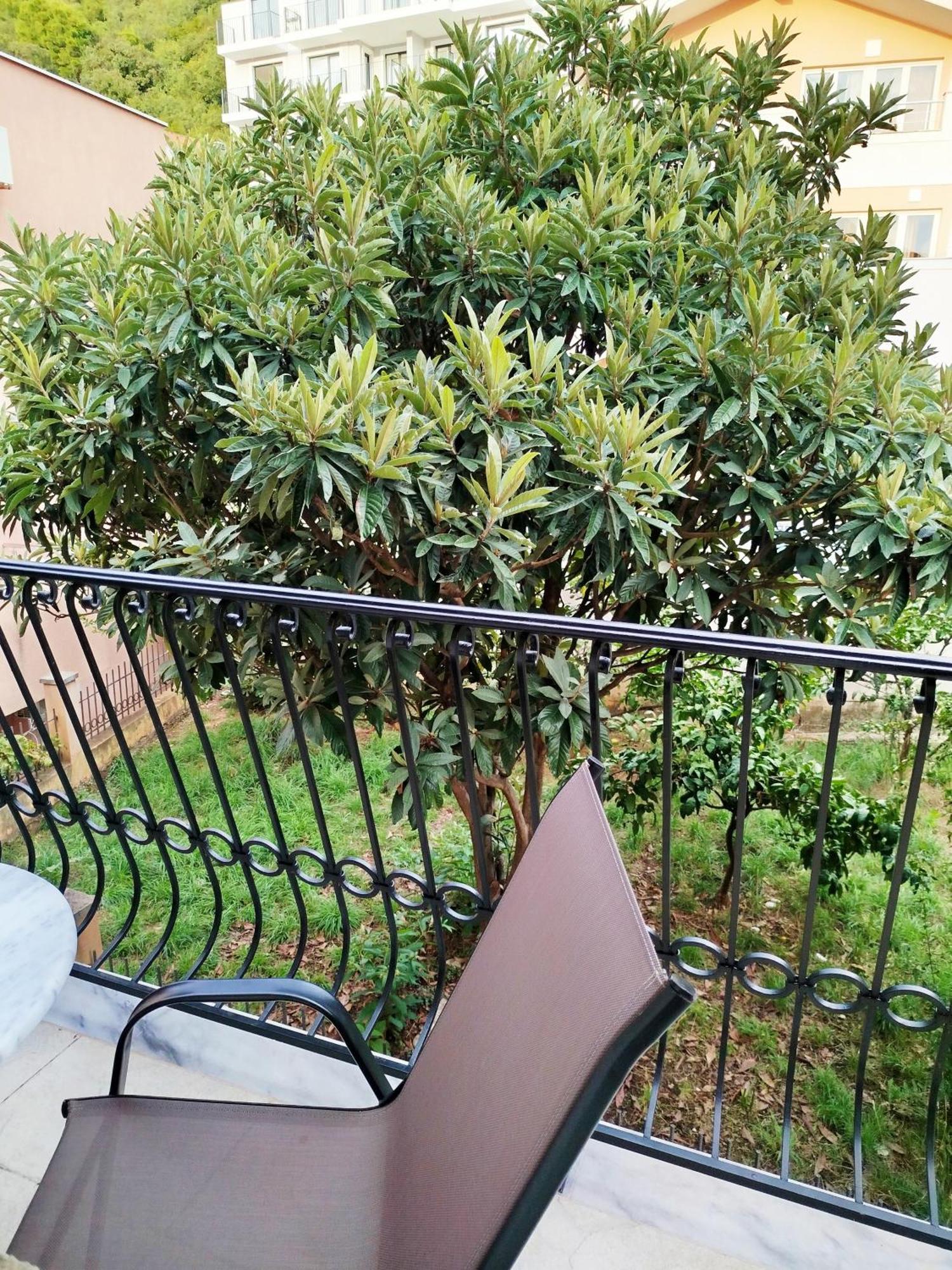 Mijovic Apartments Budva Exterior foto
