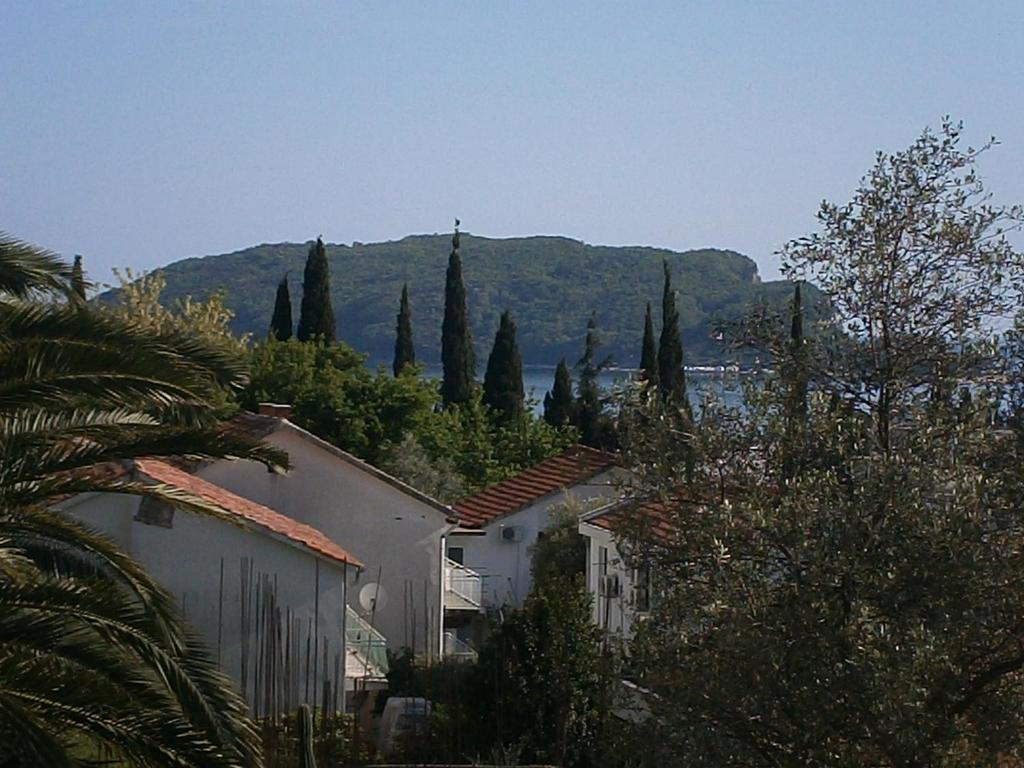 Mijovic Apartments Budva Zimmer foto